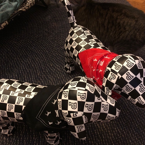 💕⭐️VS PINK⭐️💕GIANT PUPS❣️😱🤗HUGE DISPLAY DOGS🐶 - Picture 2 of 6